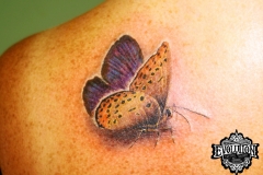 Tattoo-butterfly