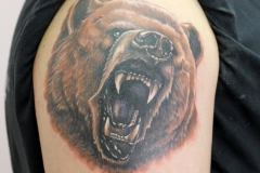 Tattoo-medved