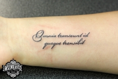 Tattoo-omnia