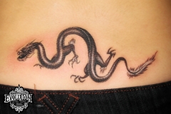 Tatttoo-dragon-wafe