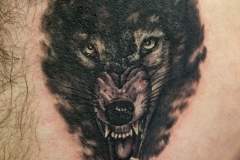 Woolfer-tattoo