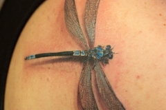 Dragonfly-tattoo