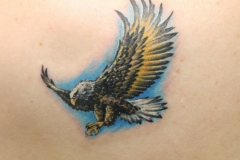 Eagle-tattoo