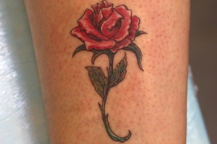 Rose-tattoo-classic