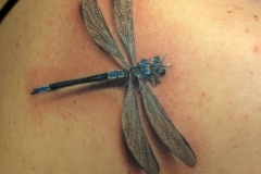 Tattoo-dragonflyyy