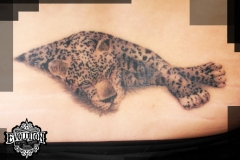 Tatu-leopardd