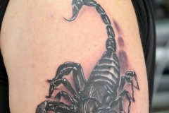 scorpio-tattooz